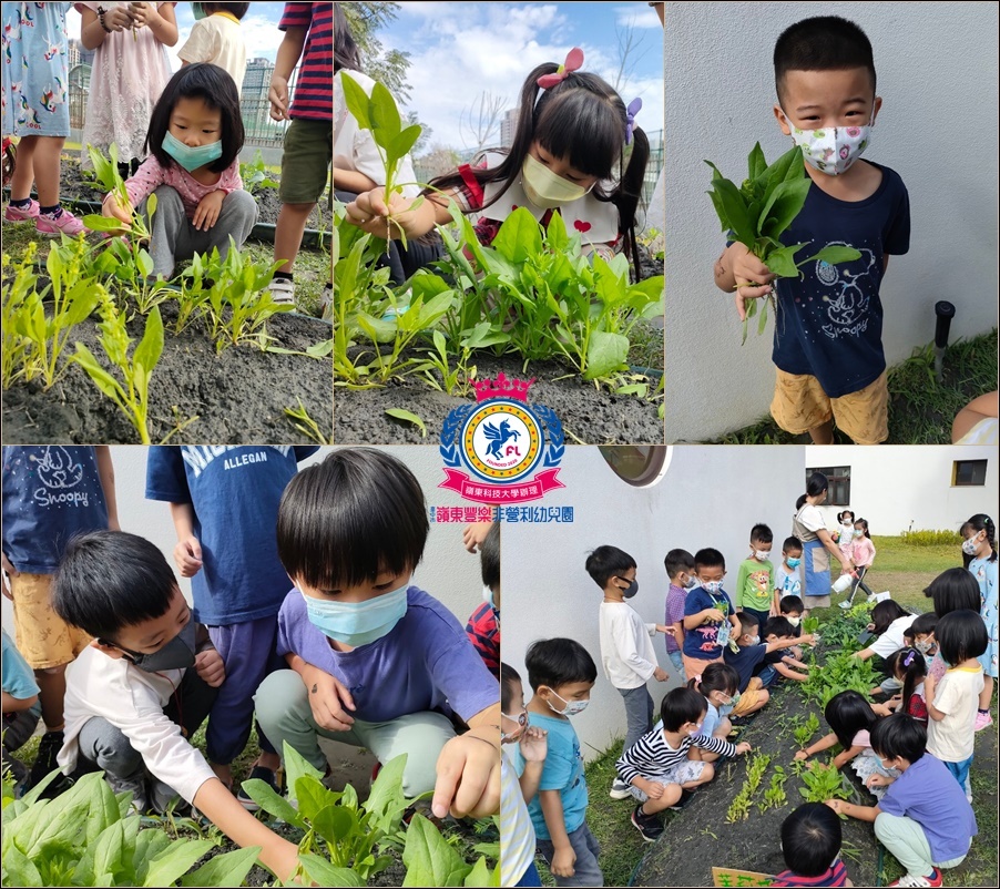 戶外種植區04